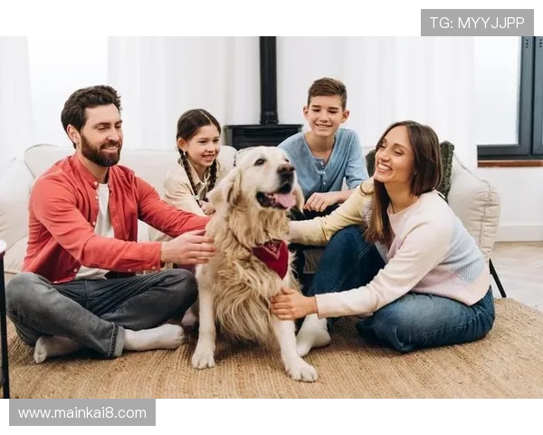 跑得快的动物乖巧与忠诚，探讨与宠物之间深厚的情感联系